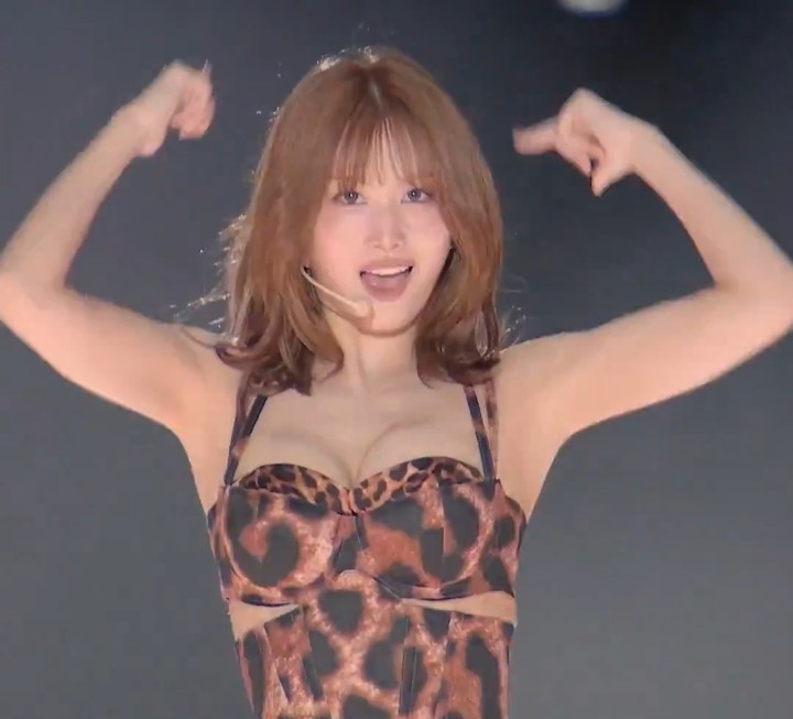 Momo Lovers tweet media