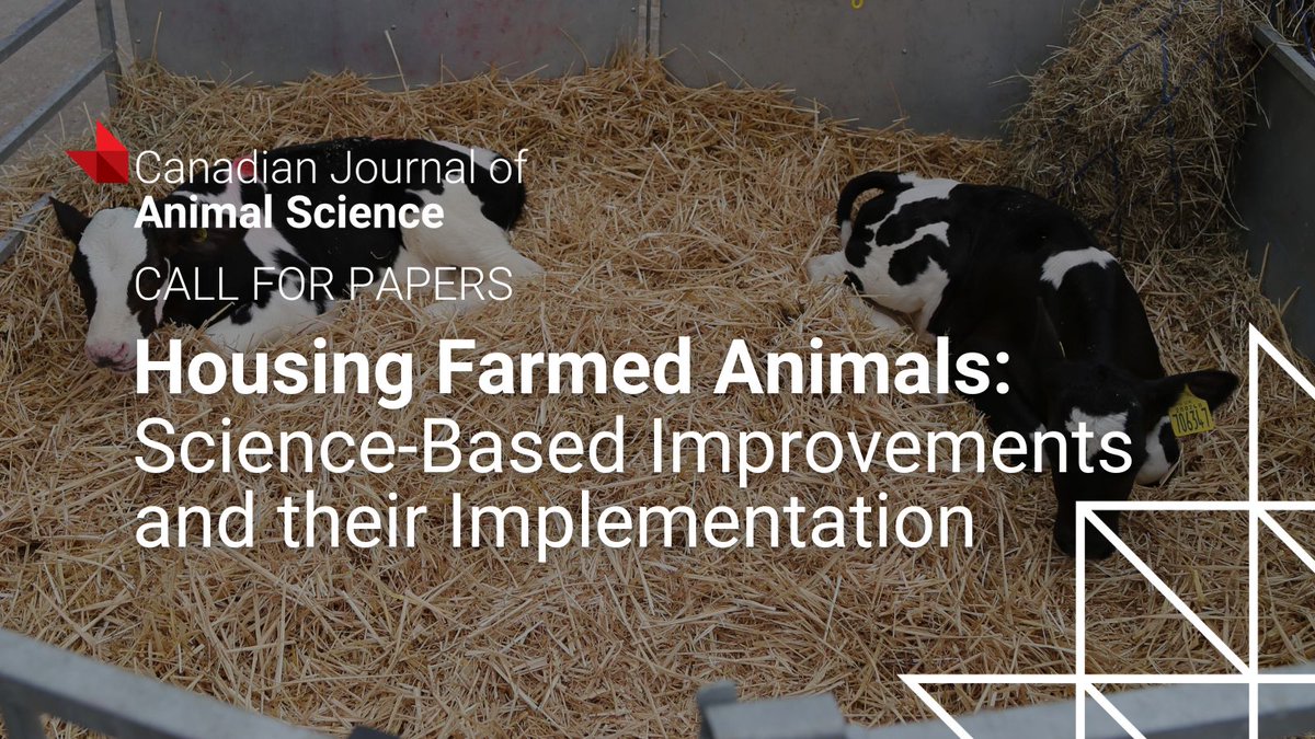 CanJAnimalSci's tweet image. Animal housing matters for welfare, productivity, and sustainability. Share your research with us in this new collection on science-based improvements and their on-farm application ▶️ ow.ly/bM2k50WyOv1

@csas_org #dairy #animalbehavior #livestock