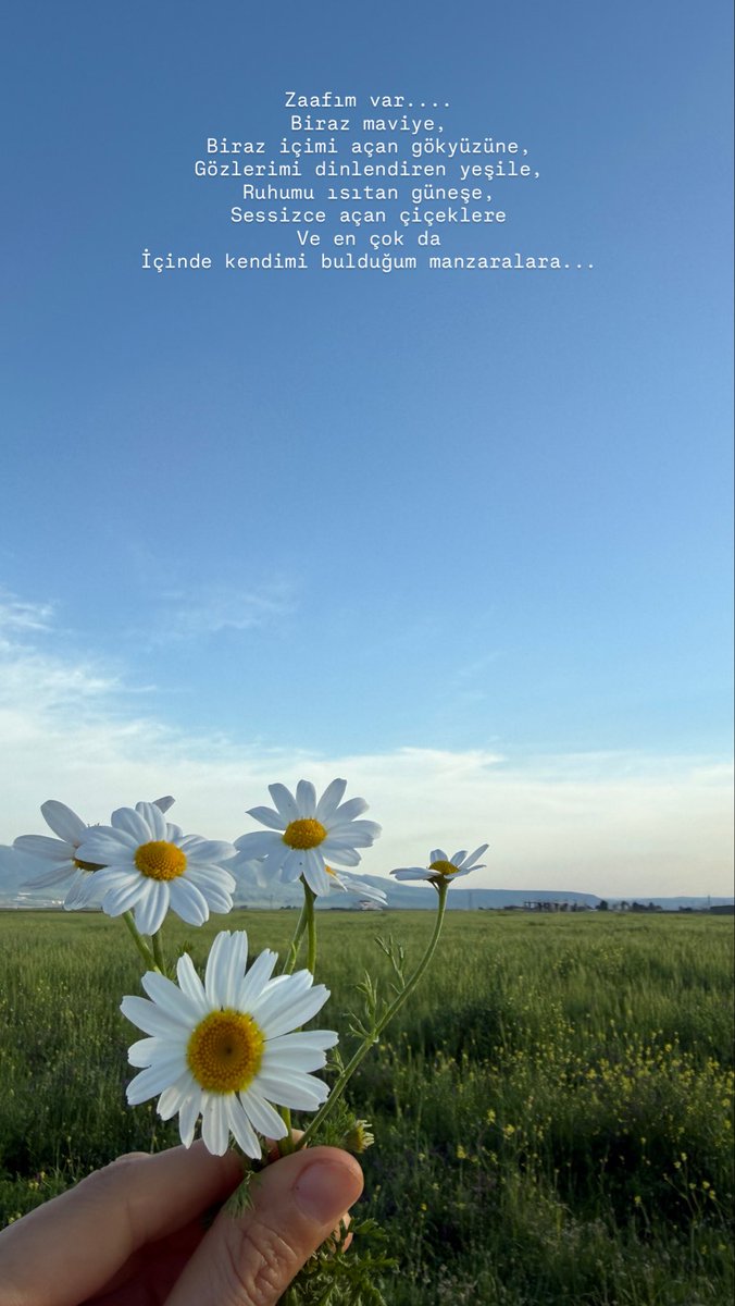 Zehra🌼 tweet media