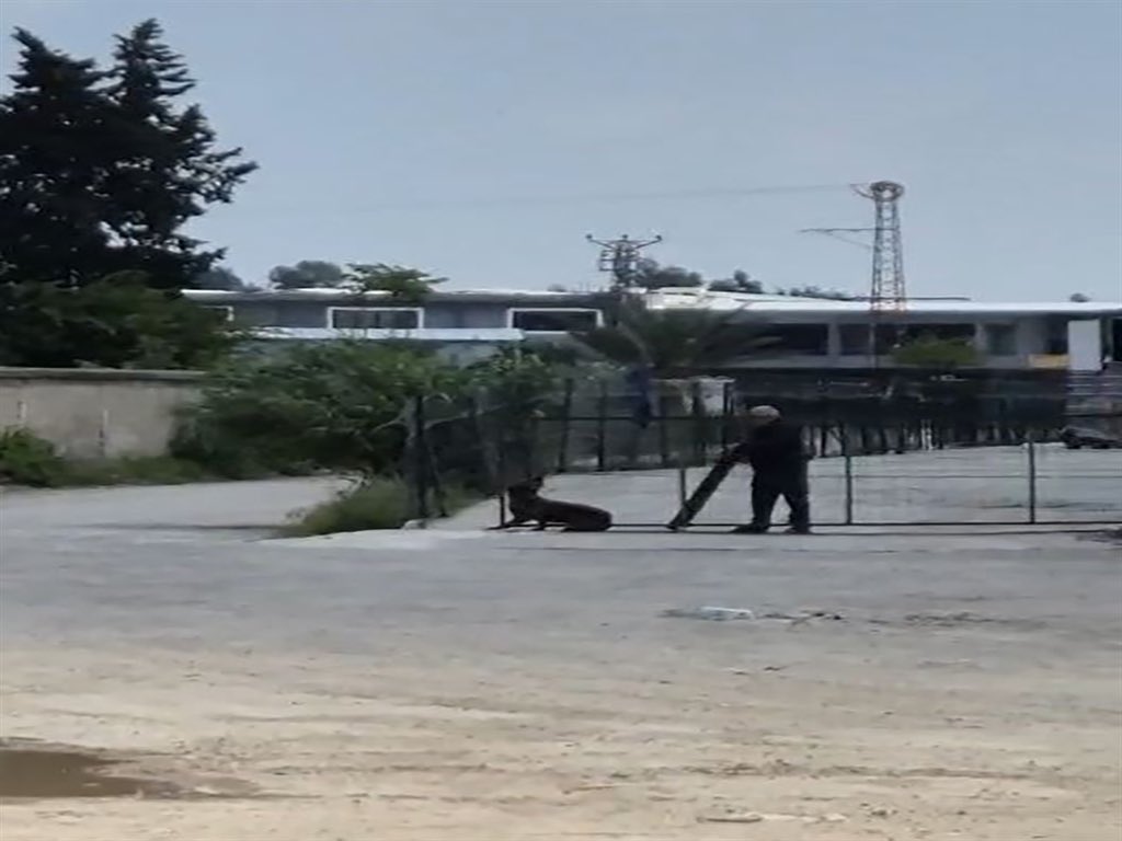 adanayerel01's tweet photo. Adana’da tavuklarını yediği iddiasıyla sokak köpeğine sopayla saldıran bekçi, o anların ortaya çıkmasının ardından gözaltına alındı. https://t.co/dgbwjrpuO5