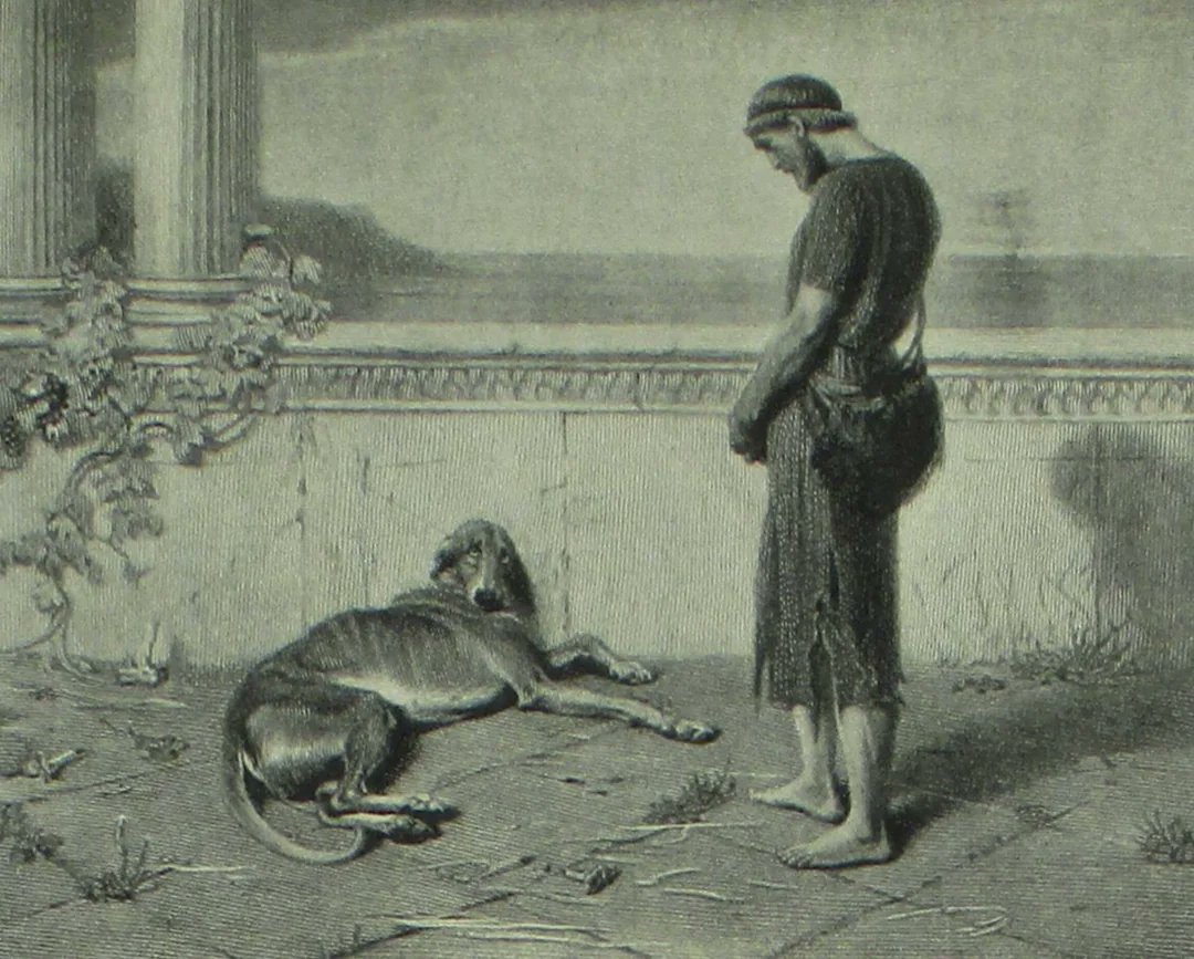 roobz 🌙 🌸 tweet media