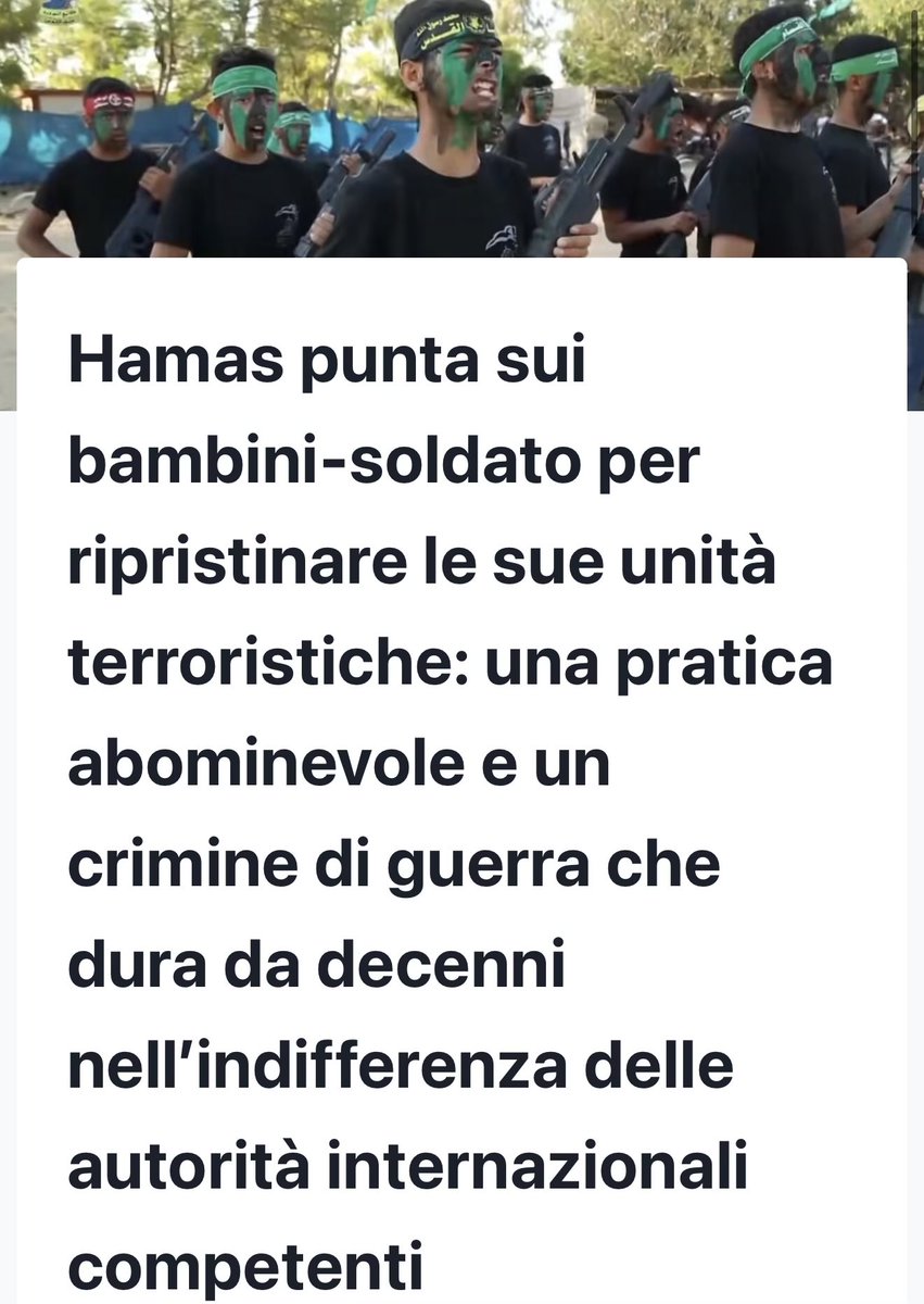 Menefreghista #remigrazione tweet media