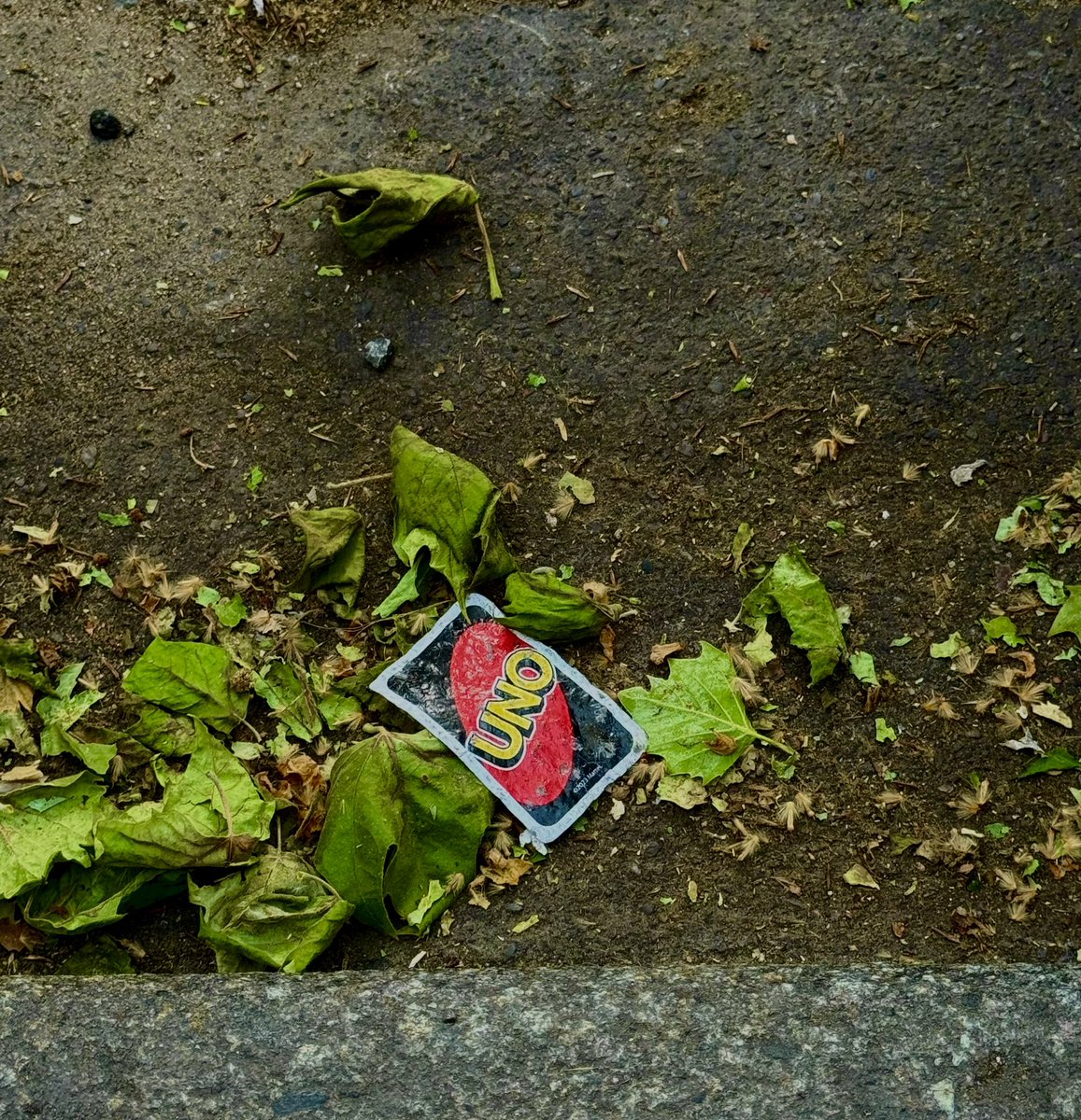 HIROKI TAKAHASHI 高橋洋樹 tweet media