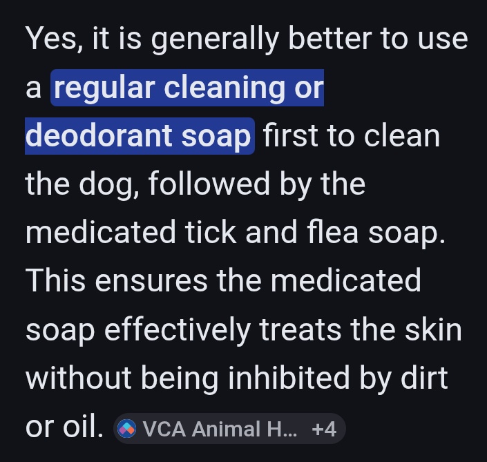 ReaderGalore's tweet image. Ok this time trying #Google #AI suggestion. 
#Bronte 
#Dog