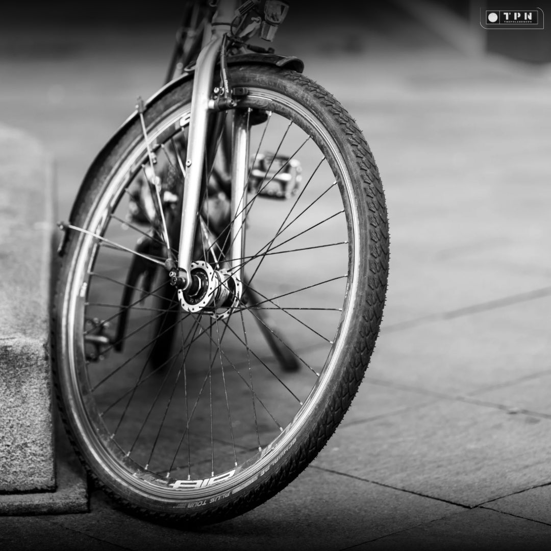 🌐 ᴛʜᴇᴘᴏʟᴀɴᴅɴᴇᴡs 🌐 tweet media