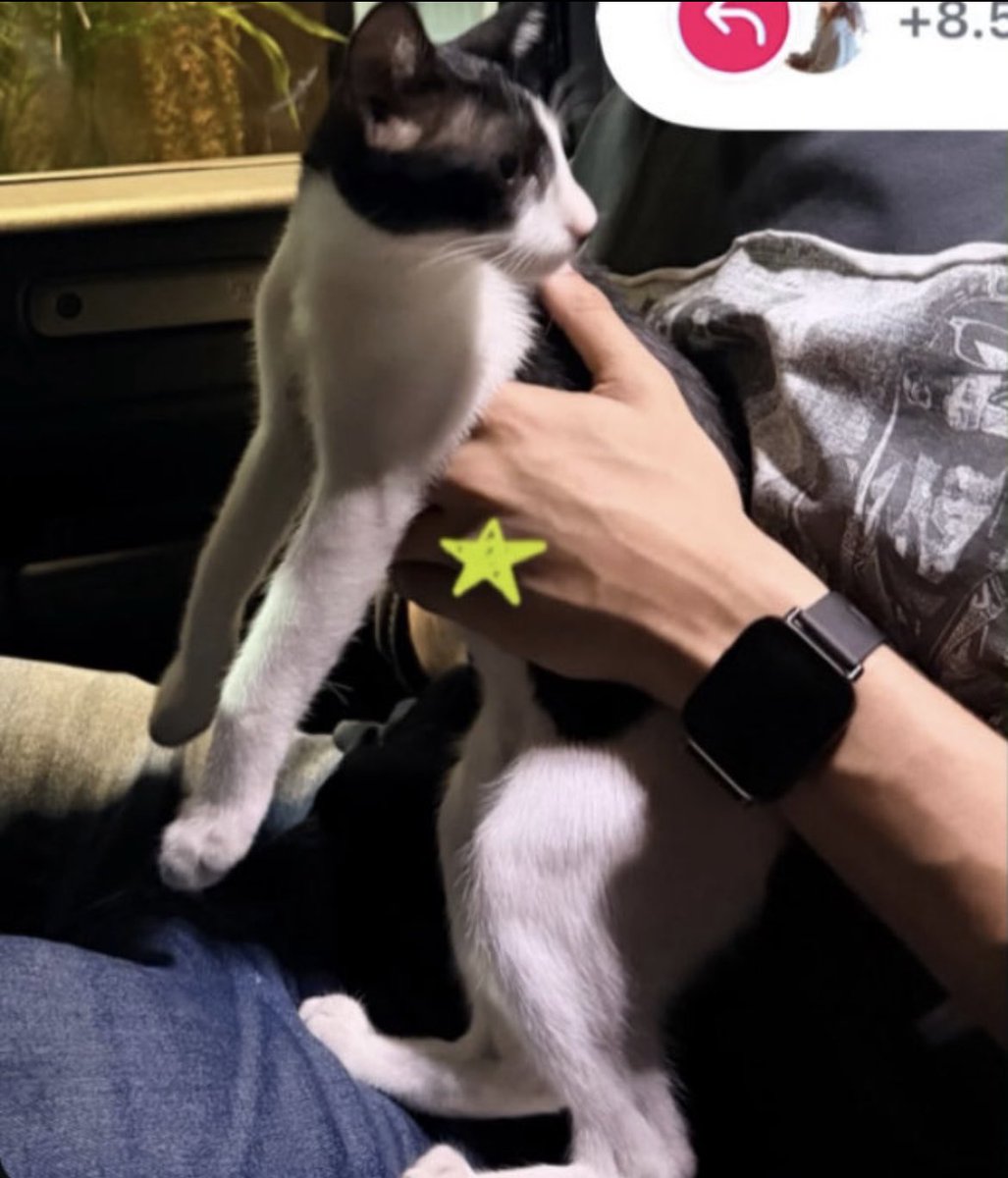 eisha editz tweet media