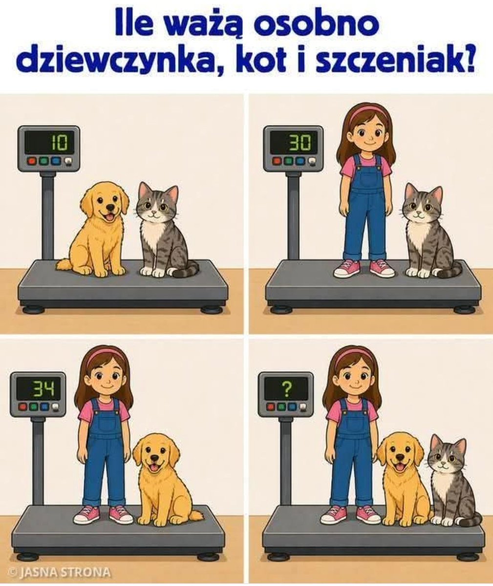 DudekPL4 tweet media