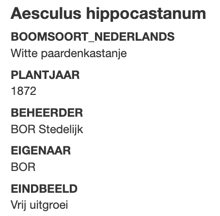 PSV_historie's tweet photo. Binnenkort wordt de PSV Gedenkplek Philips Stadion voor het publiek opengesteld. Centraal op deze plek staat een bijzondere boom. 154 jaar oud en ooit deel uitmakend van het Philips Sportpark. Met een beetje geluk kunnen we nog vele decennia van hem genieten. https://t.co/SfvoY3yGAm