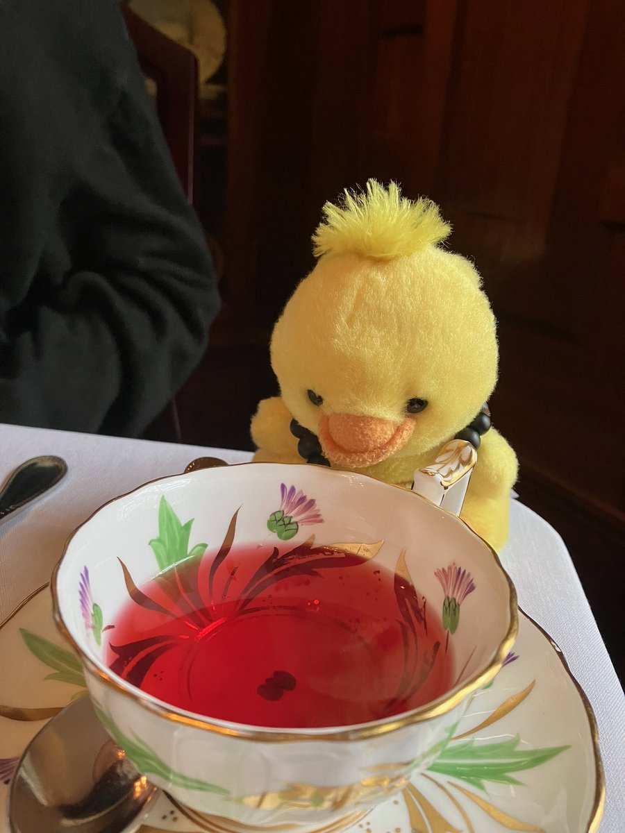 Monwter027's tweet image. Sipping tea, he loves his little tea parties #duckie #duckieadventures #duck