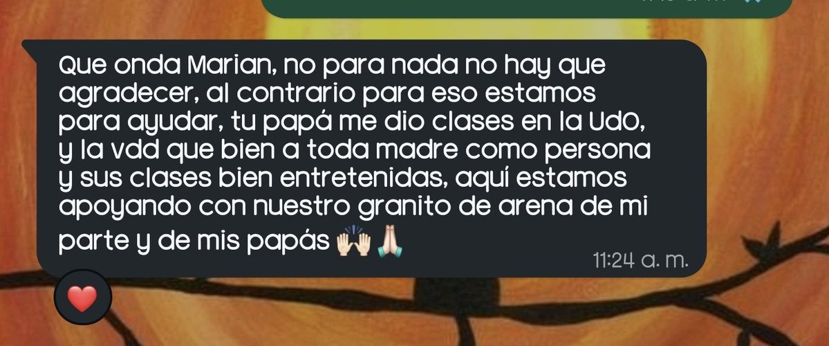 ✭☆Marián Quintana☆✭ tweet media