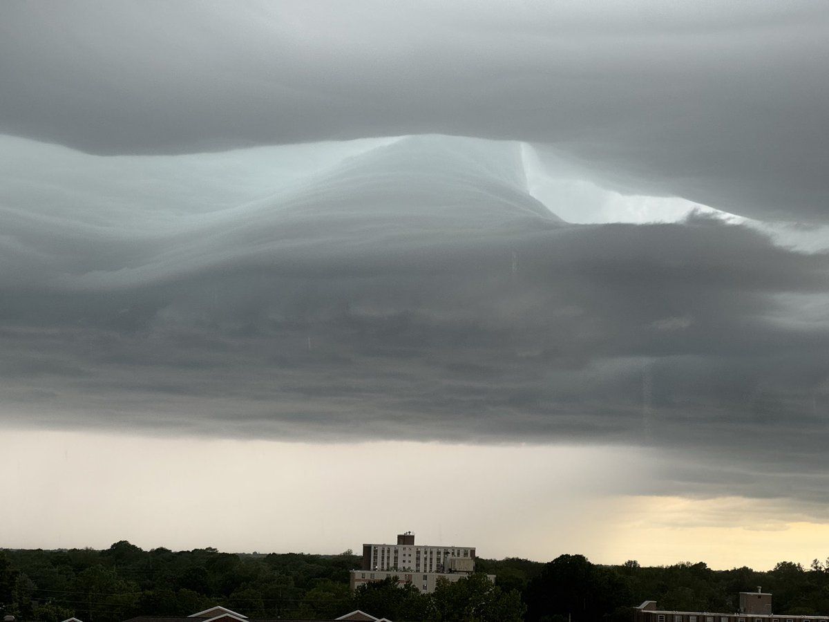 Anderson Koncki tweet media