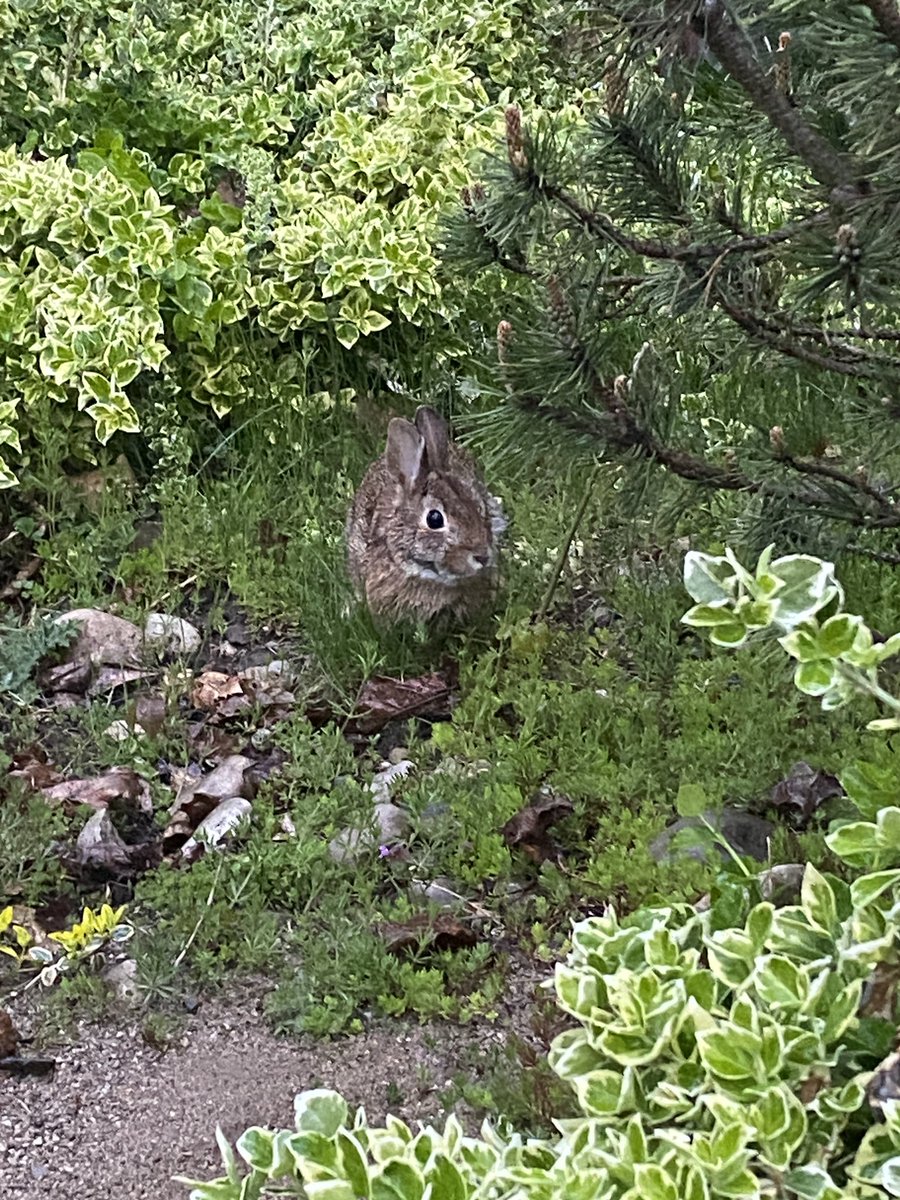 liberal & anarchist tweet media