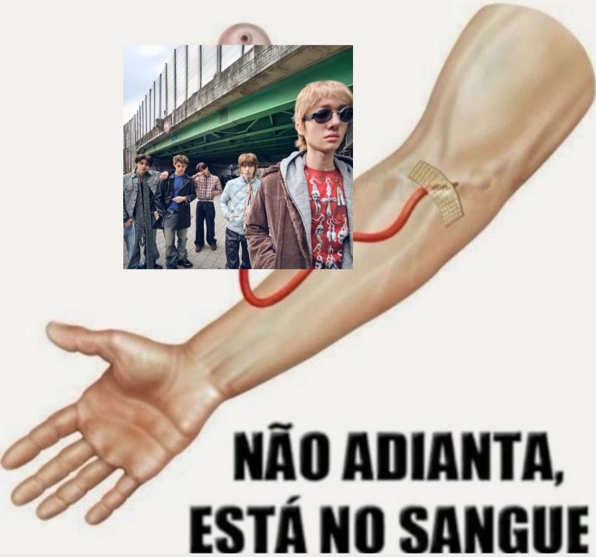 acervo cortis tweet media