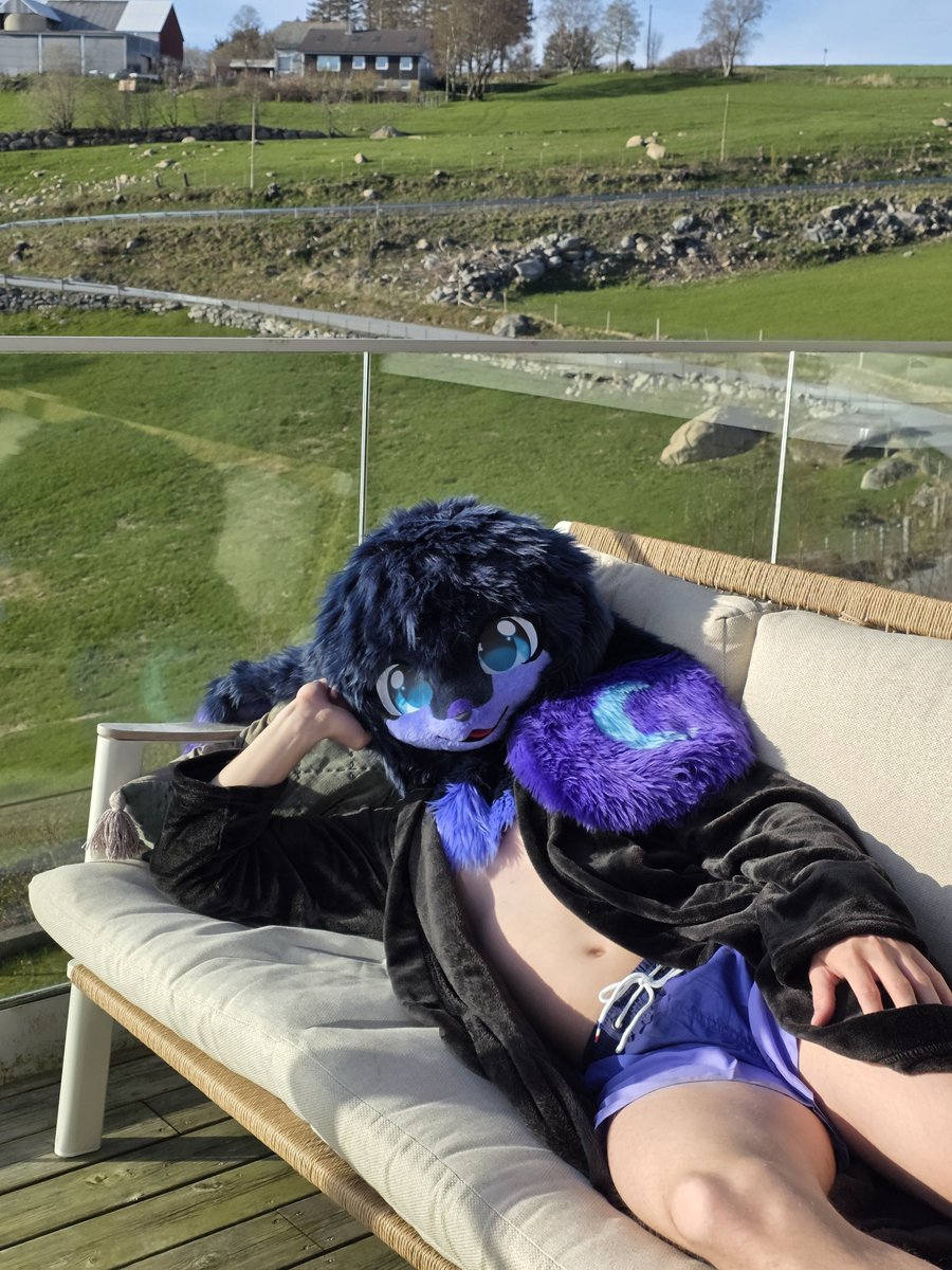 LunaryTheBun 🔜 DCC, EF tweet media