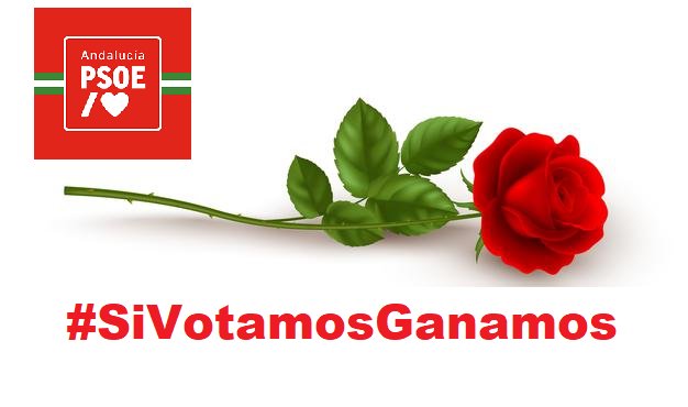 MIA PEREZ 🌹🌹🇪🇦🌹🌹 tweet media