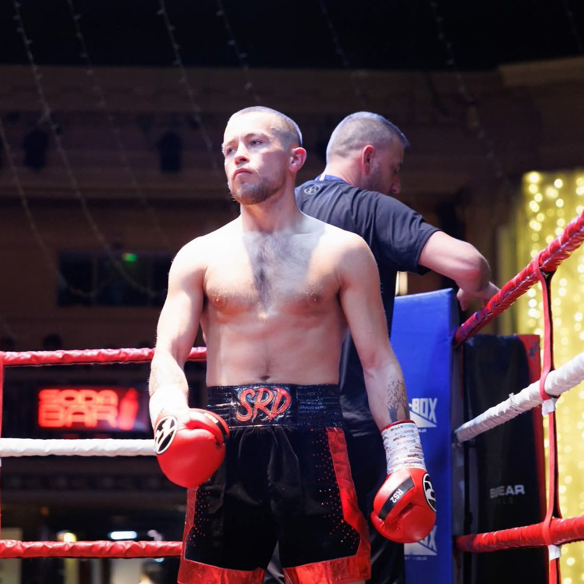 Kynoch Boxing tweet media