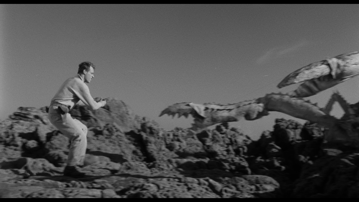 Gingerbread Florida Man tweet media