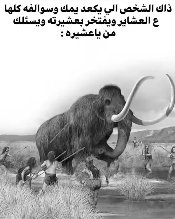 𝐻𝐴𝑆𝑆𝐴𝑁𝐸𝐼𝑁 🇮🇶 tweet media