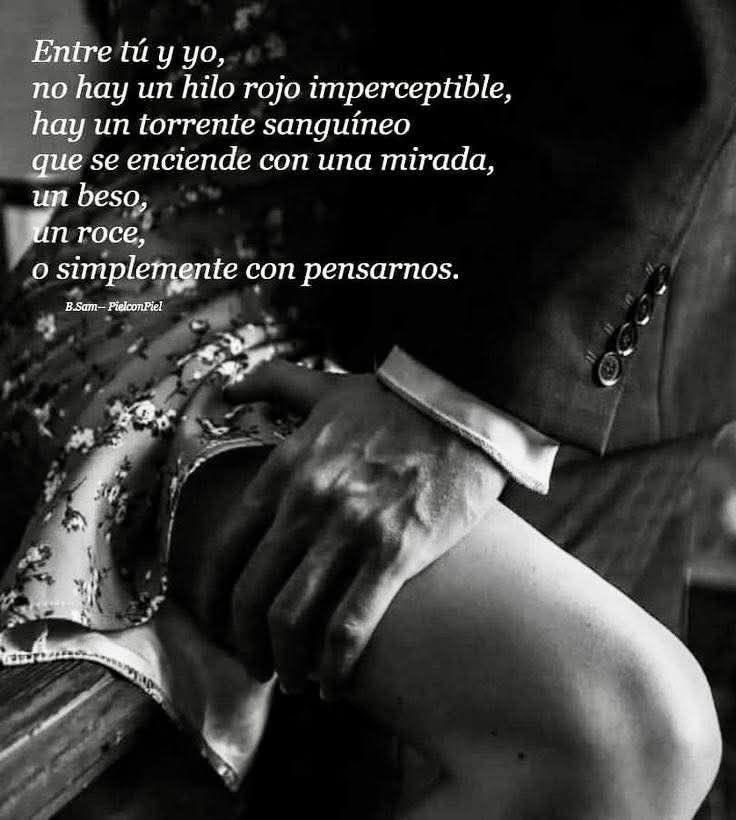 Alma Guzmán (@almaguzmn160272) on Twitter photo 