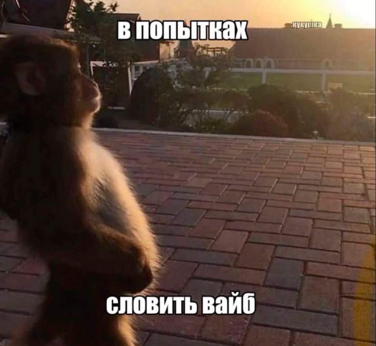 varchik🫧 tweet media