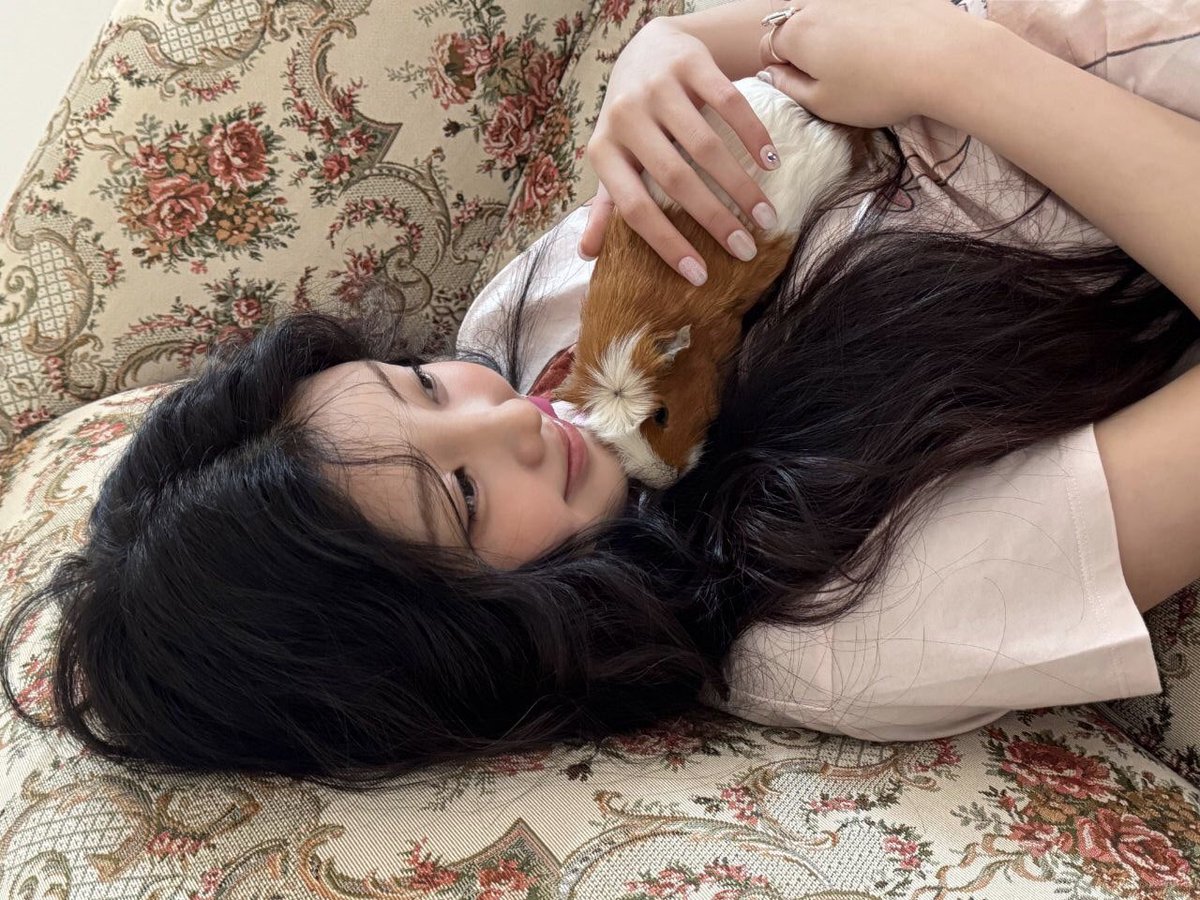 w★nhee tweet media