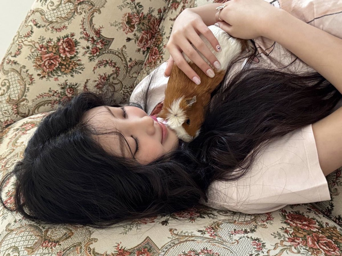 w★nhee tweet media