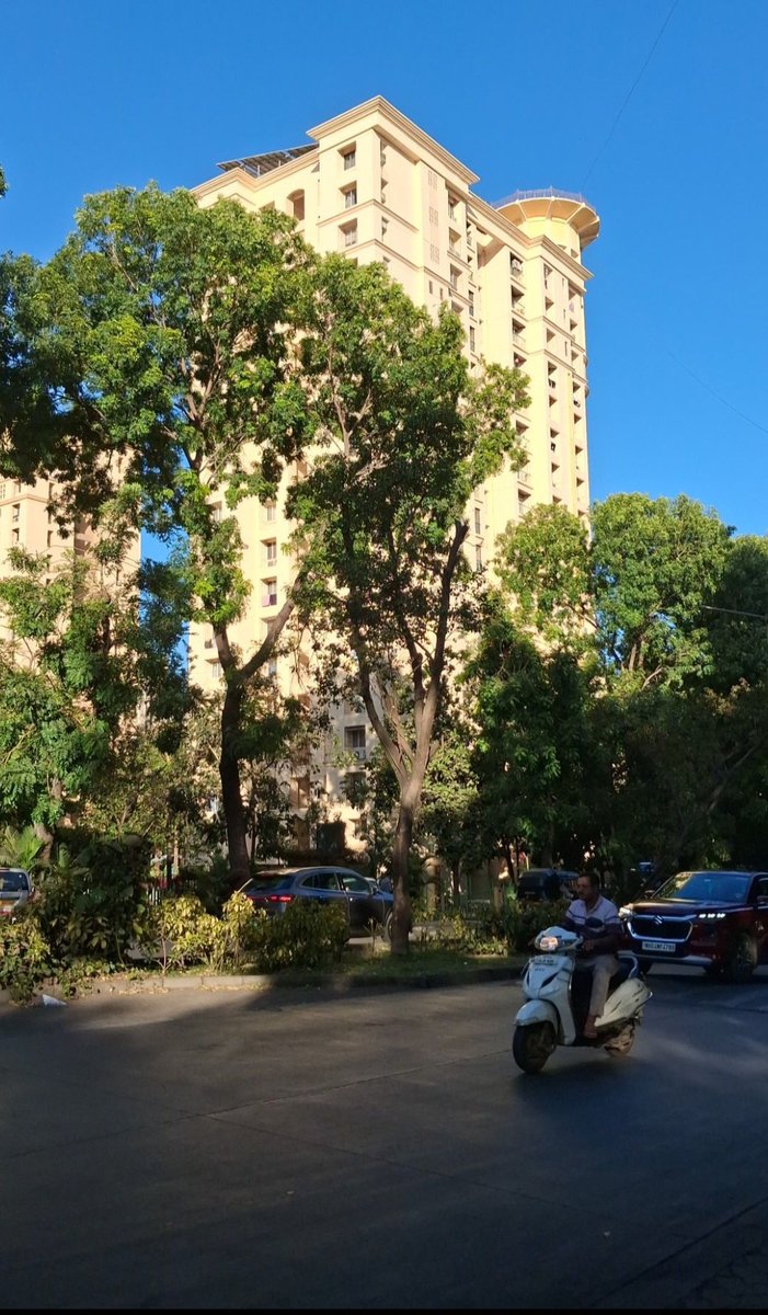 Coco⁷☆♪ tweet media