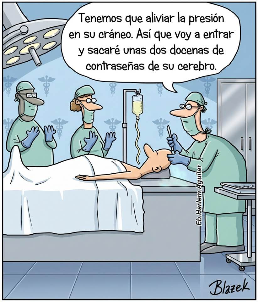 Anibal Litvin tweet media