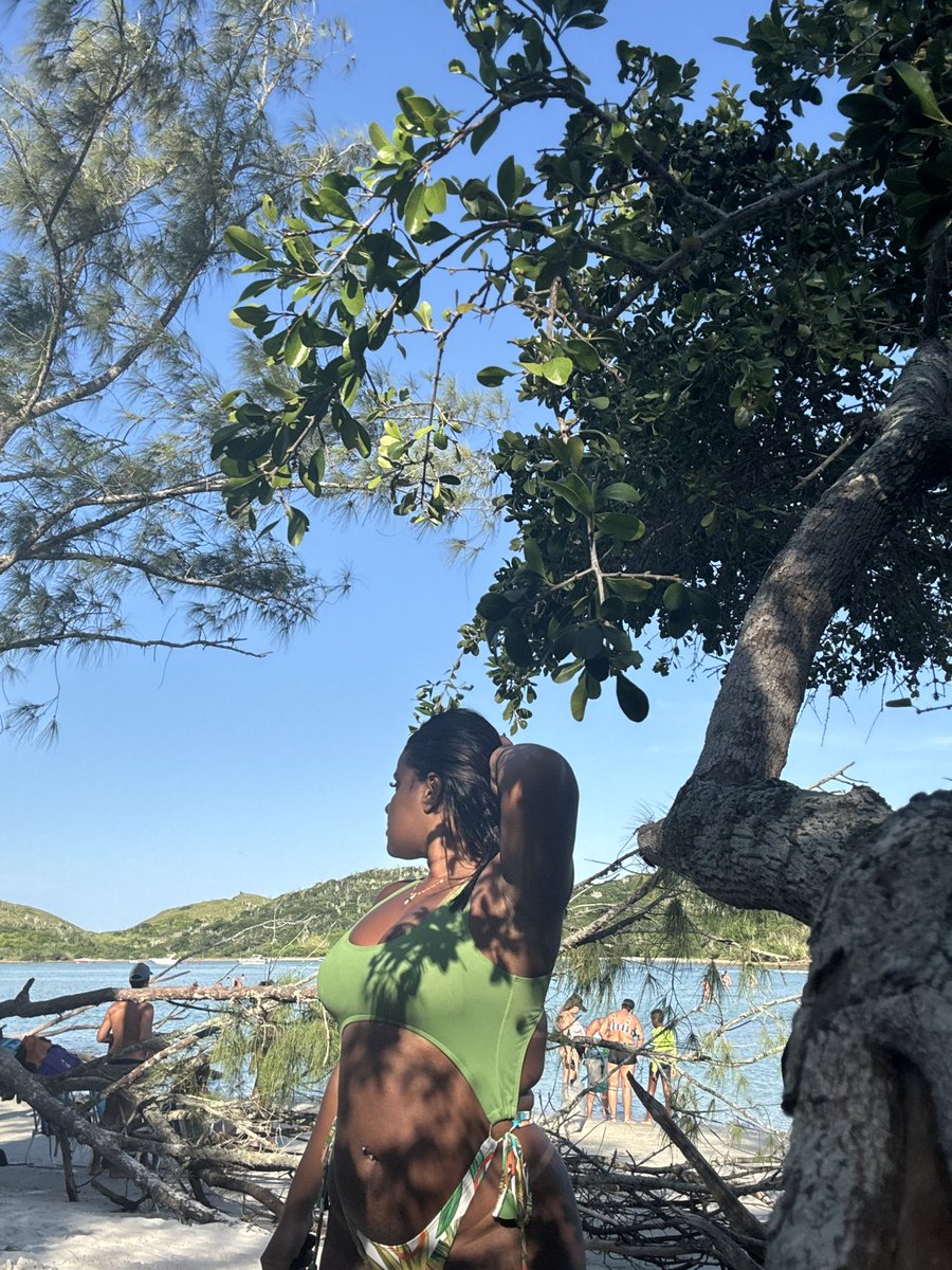 _Thay213's tweet photo. dourada pelo sol, guiada pelo instinto. ☀️🐚✨ https://t.co/e41H8l3TwM