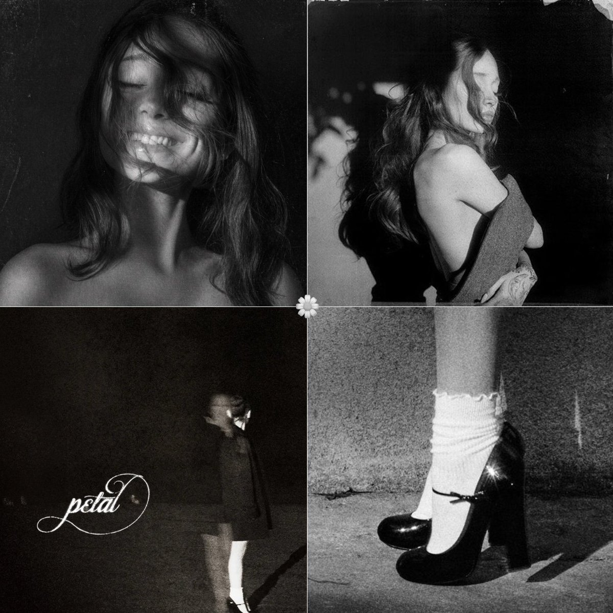 Acervo Petal tweet media