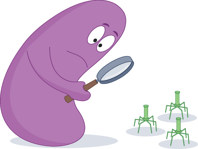 Nature Reviews Microbiology tweet media