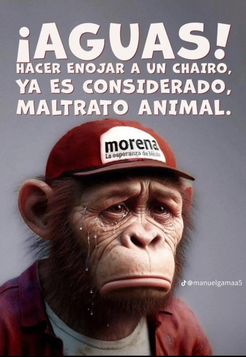 Froylán M. tweet media