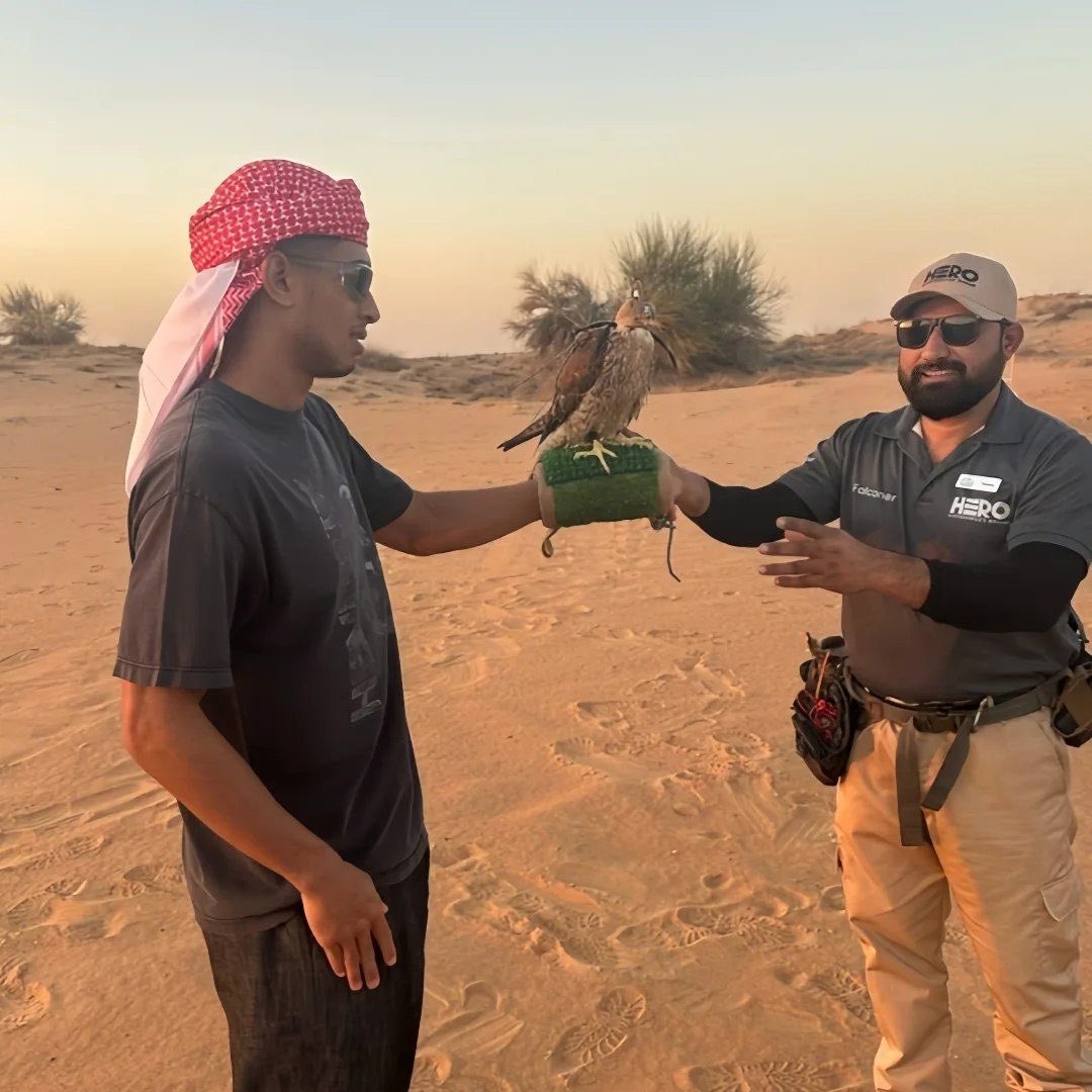 J. ⭐️ tweet media