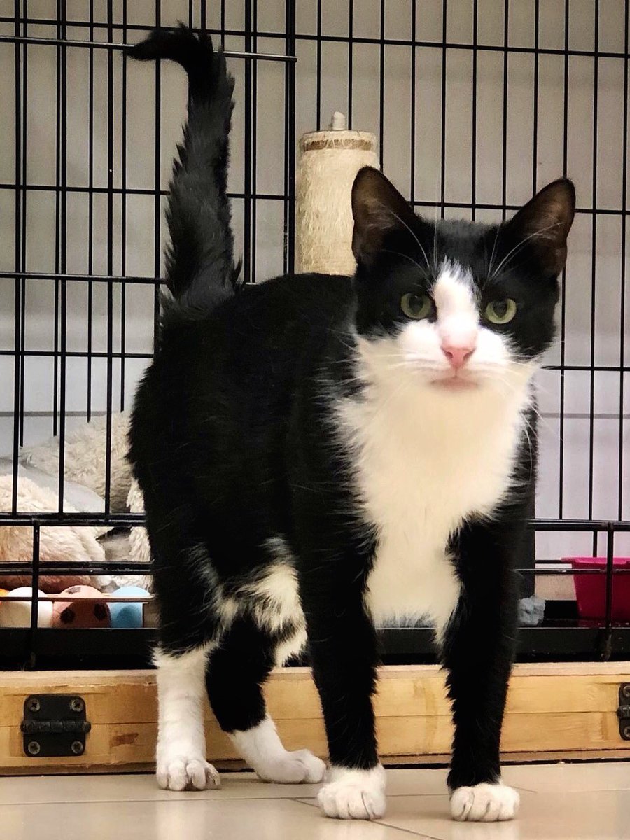 Приют Убежище tweet media