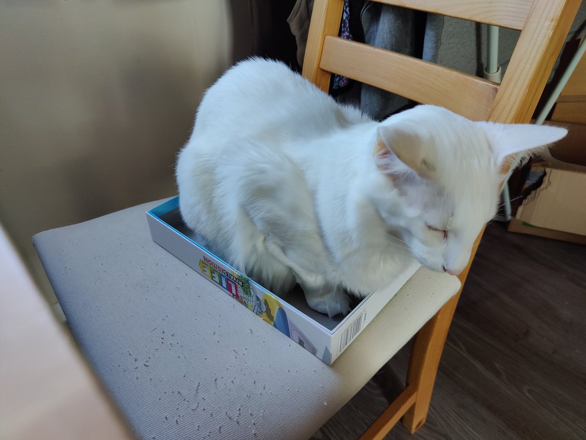 Charlotte Wears No Mask tweet media