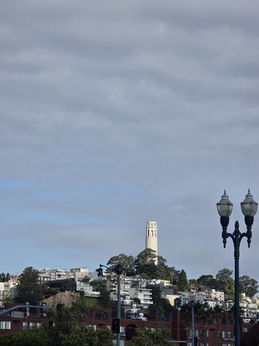 orlandorodas13's tweet image. #happytuesday #SanFrancisco