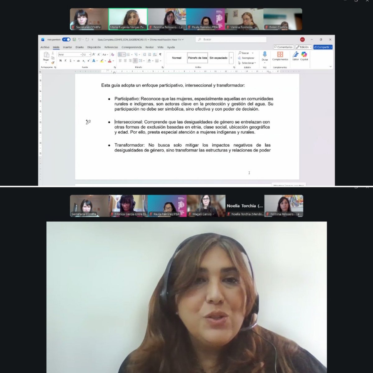 cohife1's tweet photo. Reunión de la Comisión de Género y Agua de #Cohife. Se compartieron experiencias sobre conversatorios, programas y capacitaciones provinciales con perspectiva de género, y se avanzó en una propuesta orientada a visibilizar el rol de las mujeres en la gestión hídrica. https://t.co/eij7E6qAEs