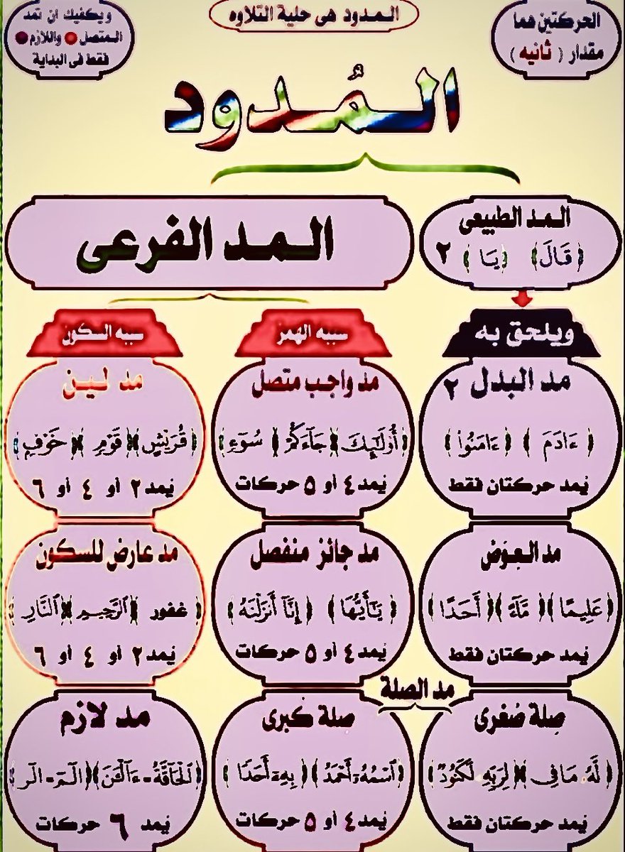 أنواع  "المدود"

شرح سهل ومبسط 👌🏻

 share.google/Drf4Bro57vp5SZ…