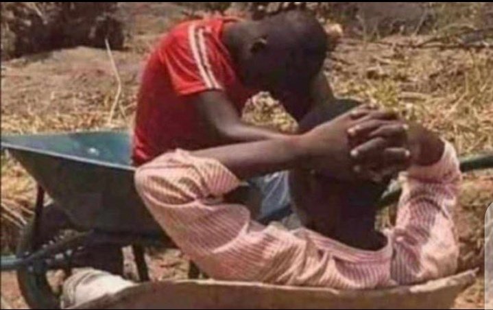 imdudeeh tweet media
