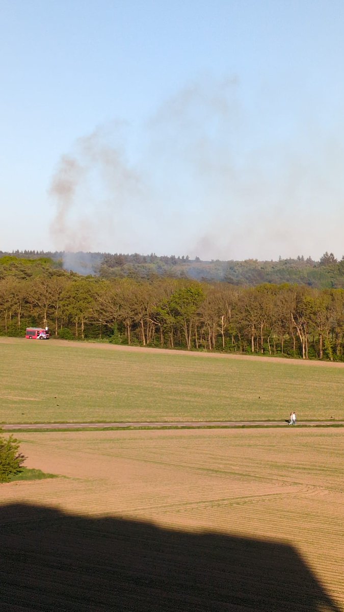 demo_creatie's tweet image. Het wordt tijd voor een blusvliegtuig in #Nijmegen?
De #brandweer auto's moeten aan de straat vullen, dan stukkie rijden, om midden in dat bos met lange slangen te blussen? Schiet toch niet op? 

#bosbrand #brand
