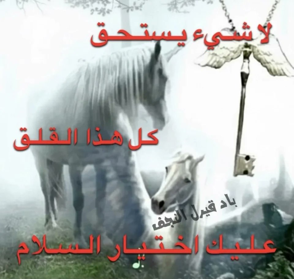 Cats mommy tweet media