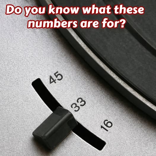 𝕊𝕥𝕖𝕧𝕖𝕟 𝕄. 𝕃𝕖𝕘𝕒𝕔𝕪 🇺🇸 tweet media