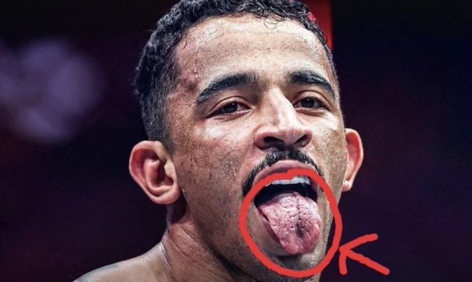 MrTestoestrogen tweet media