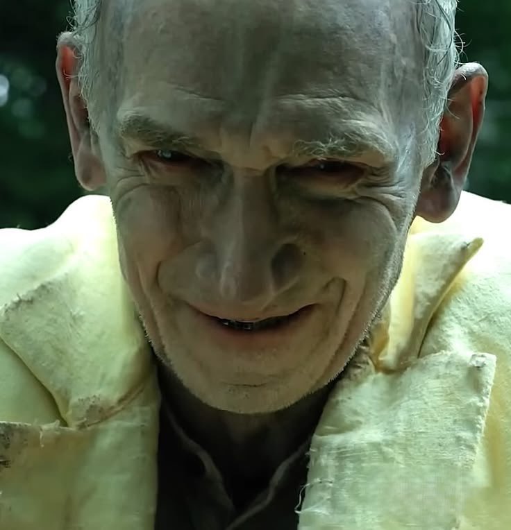 فيرميني tweet media