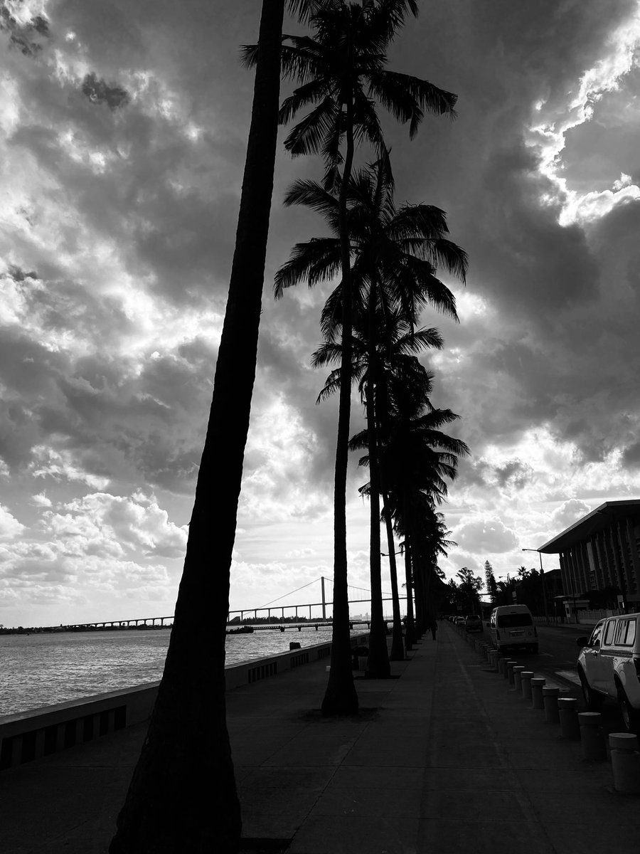 Luana🧍🏻‍♀️🪴 tweet media