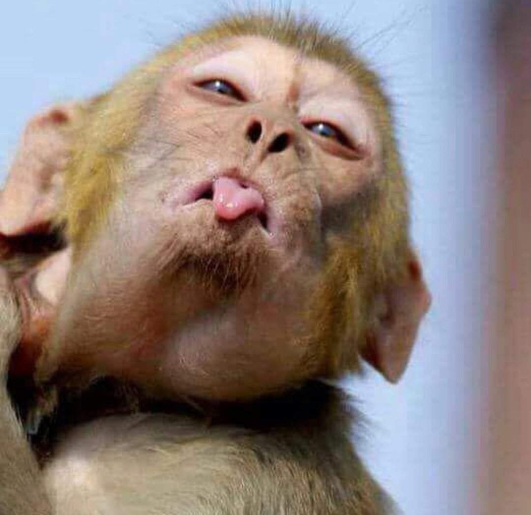 Mary 🇮🇨 tweet media