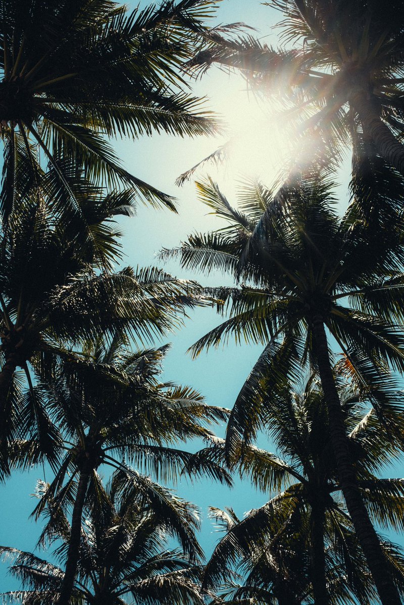 Charles Leclerc tweet media