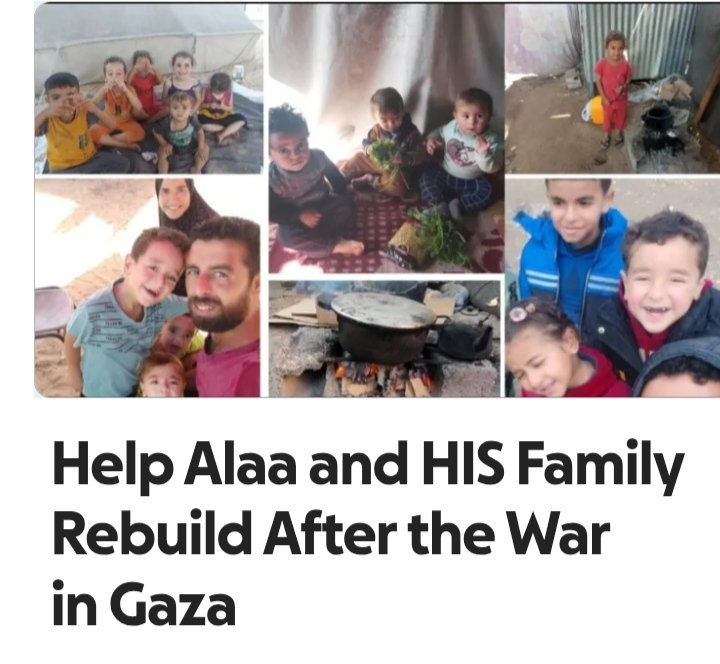 @alaa_hamdona tweet media