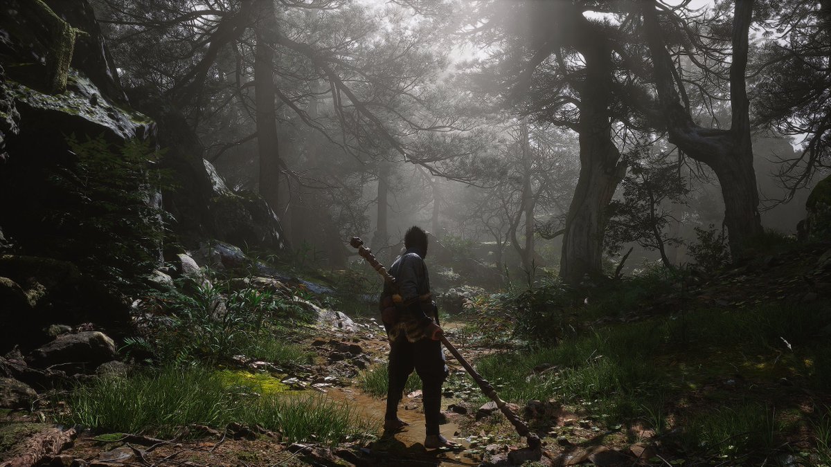 Mostly Positive Reviews tweet media