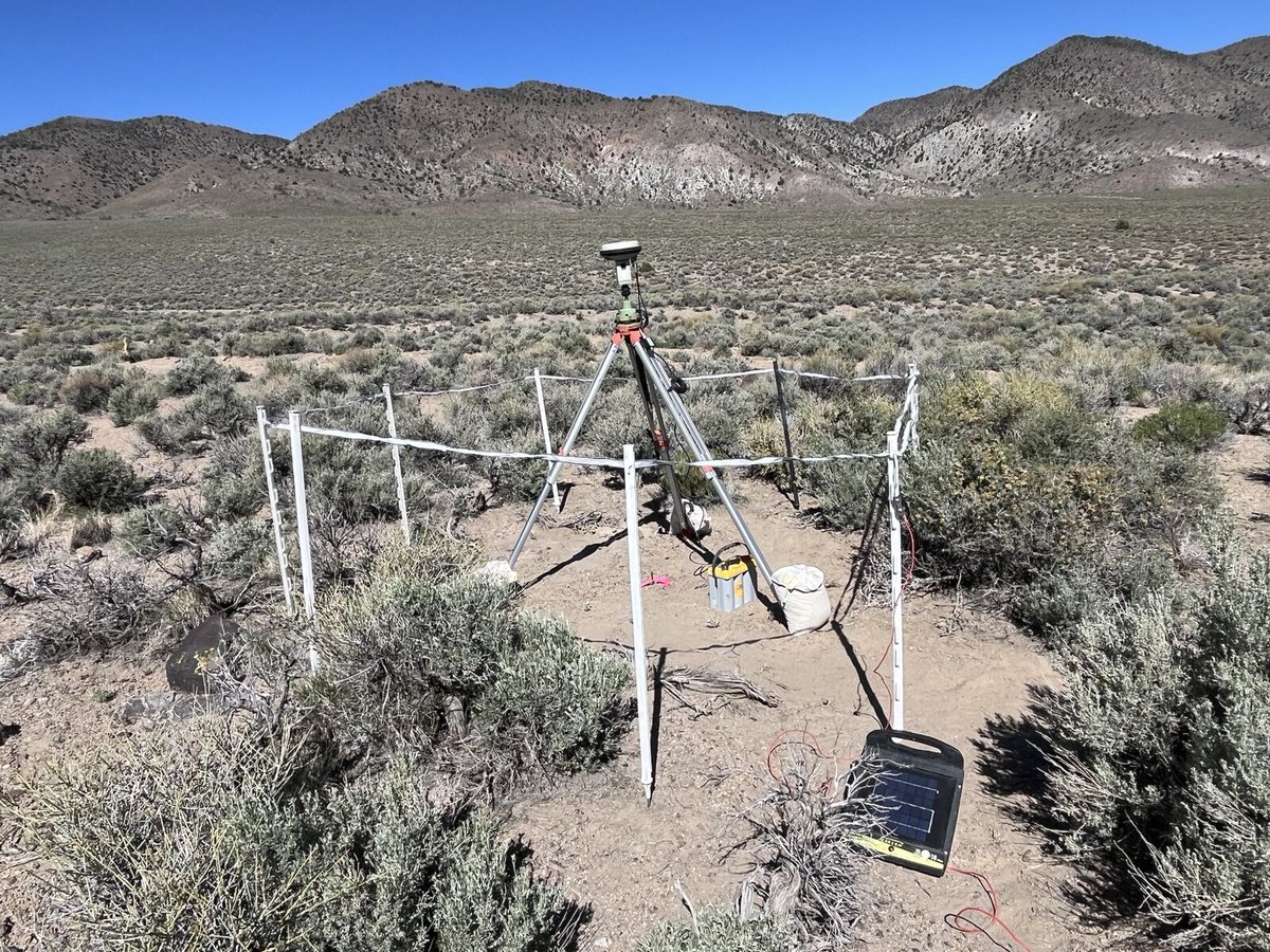 Share_Talk ™ tweet media